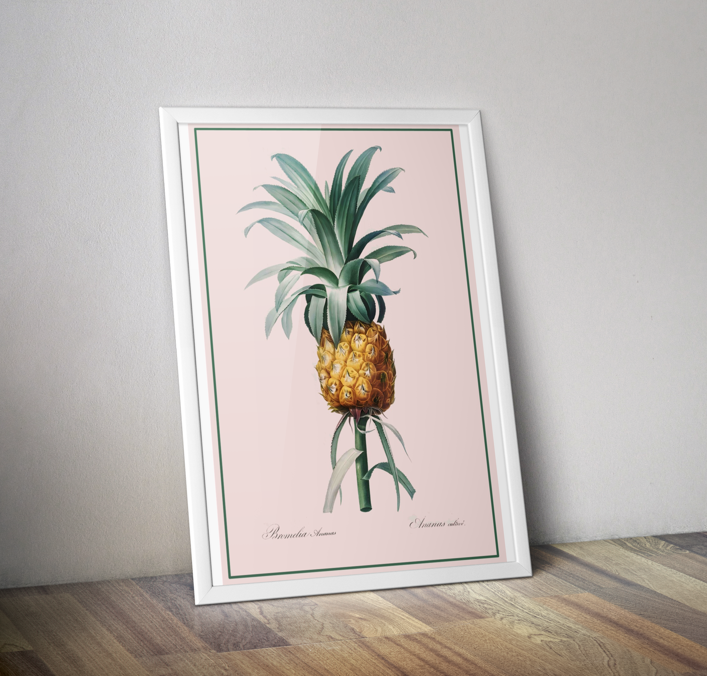 Affiche botanique cuisine vintage ananas - Poster déco cuisine
