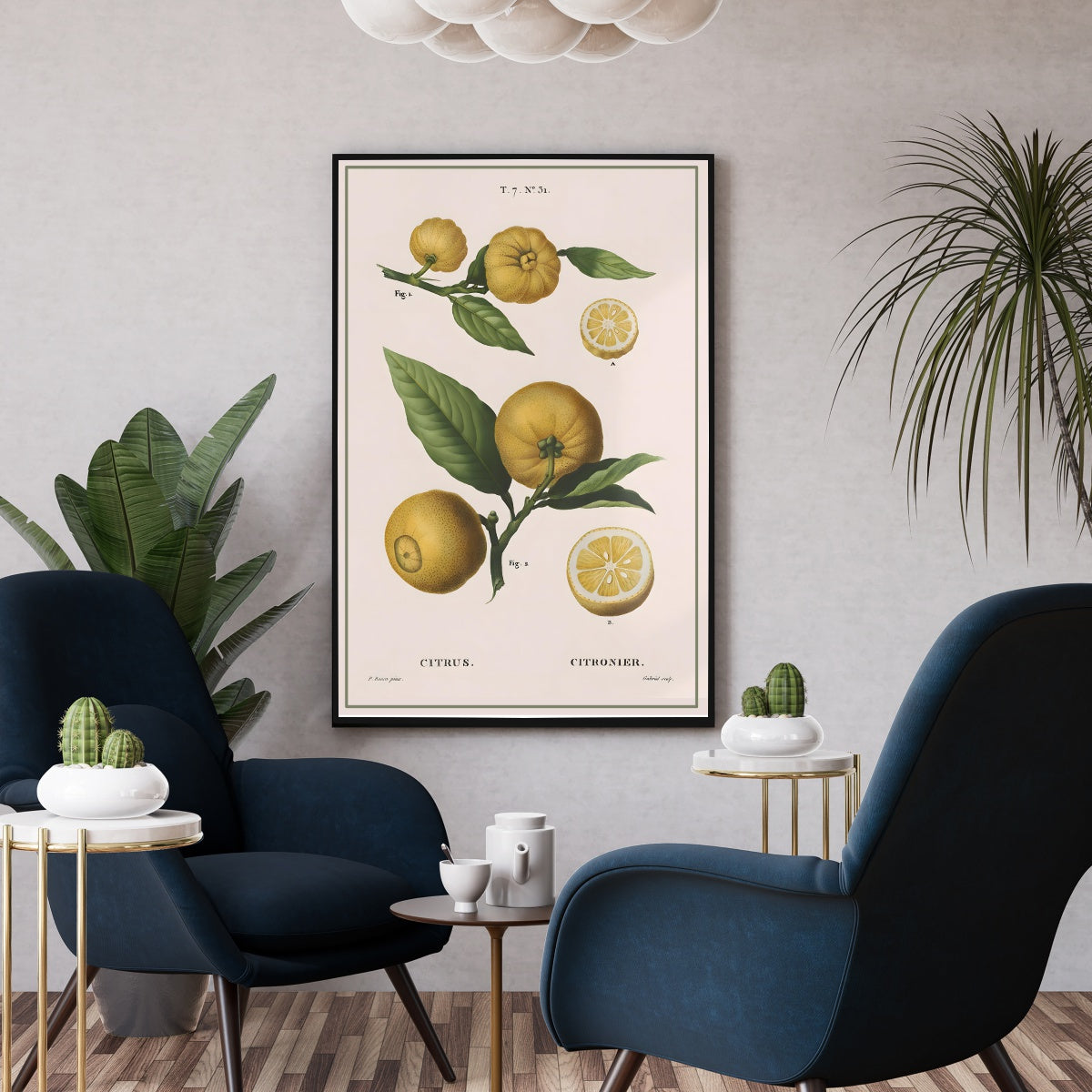 Affiche vintage déco cuisine fruit Citron - Poster botanique vintage