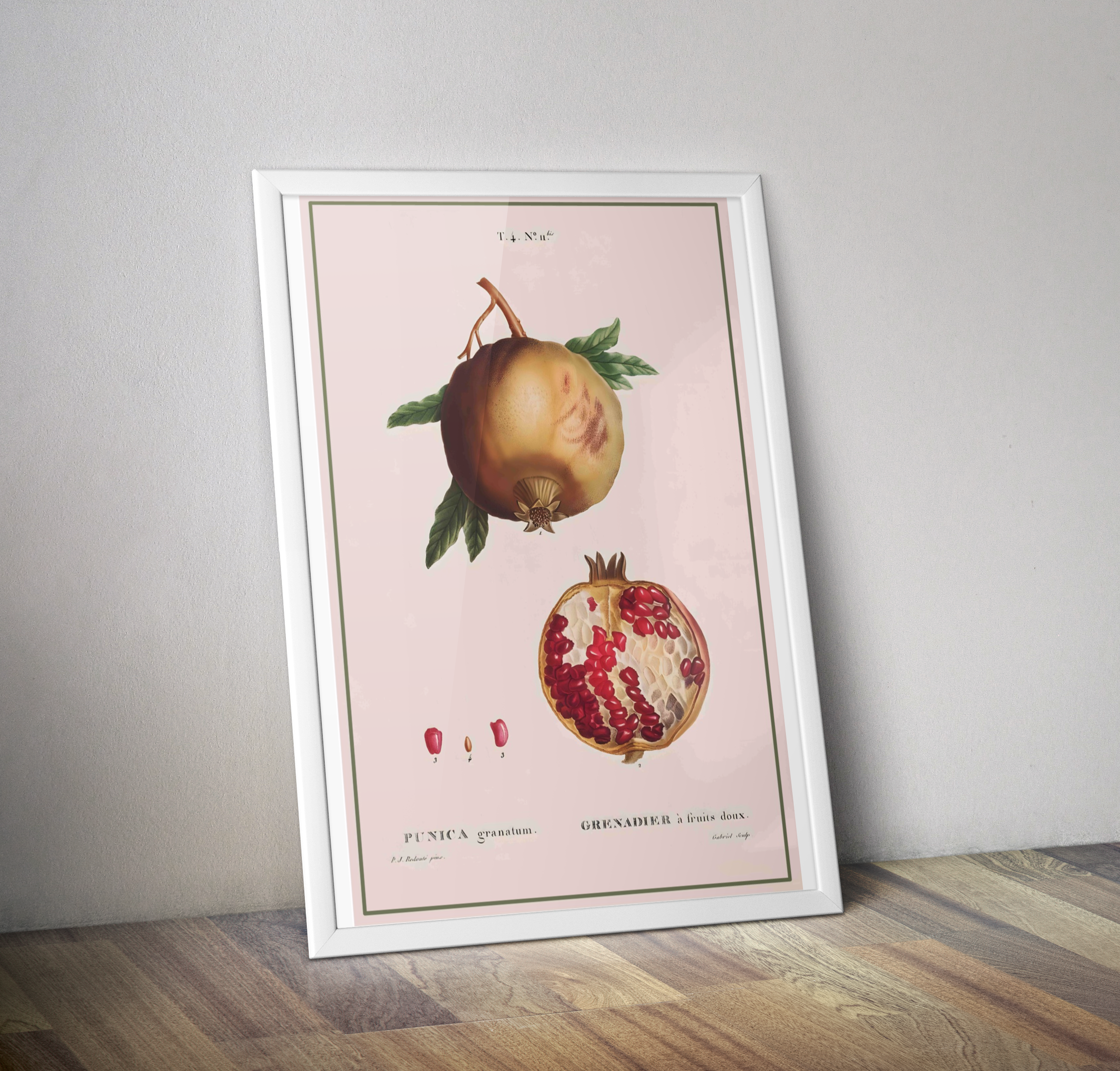 Affiche vintage cuisine fruit grenade - Poster botanique vintage décoration