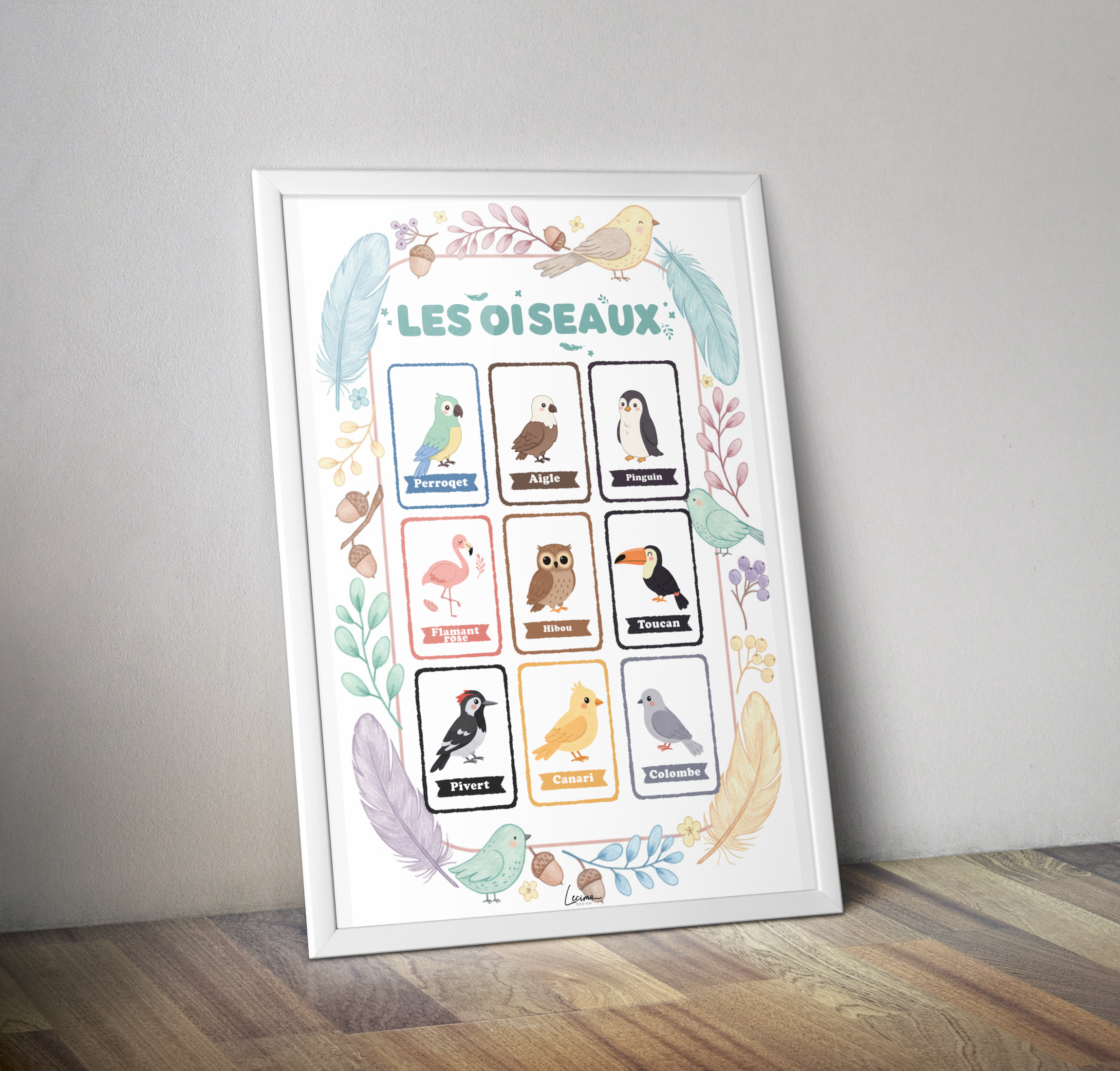 Affiche pédagogique les oiseaux - Poster enfant