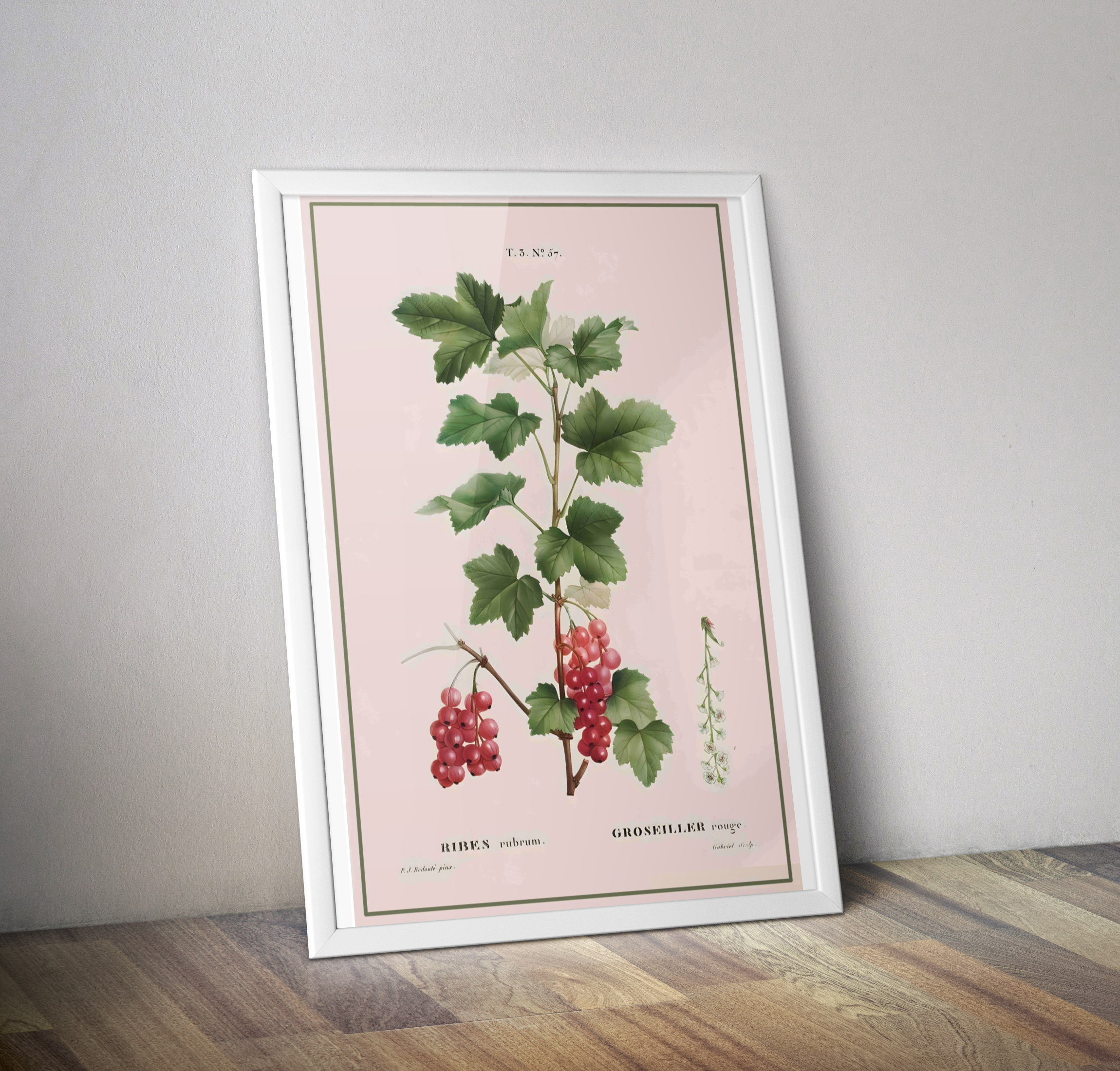 Affiche botanique cuisine Groseille décoration cuisine - Poster vintage cuisine