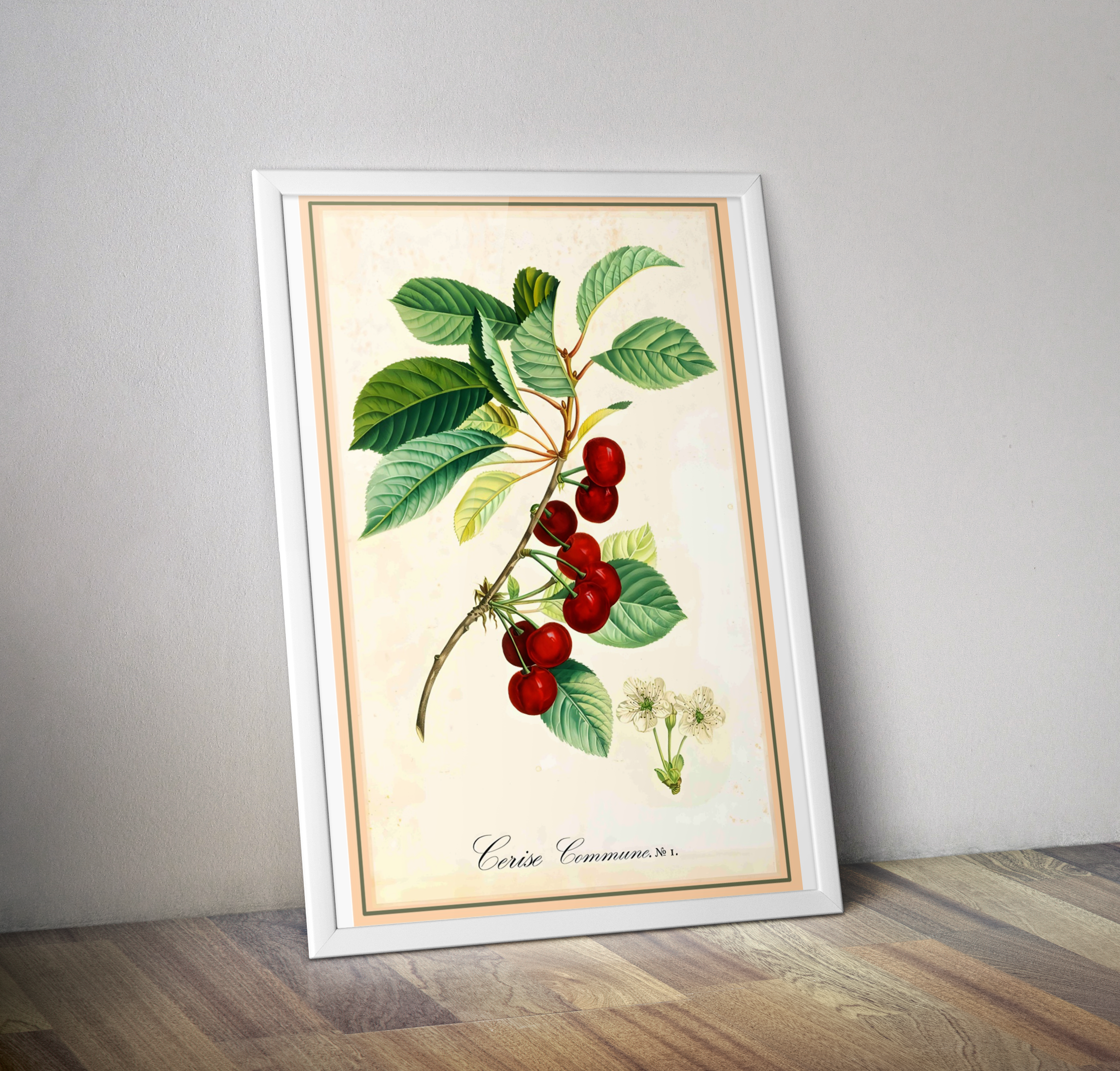 Affiche botanique vintage cuisine cerisiers - Poster vintage déco cuisine