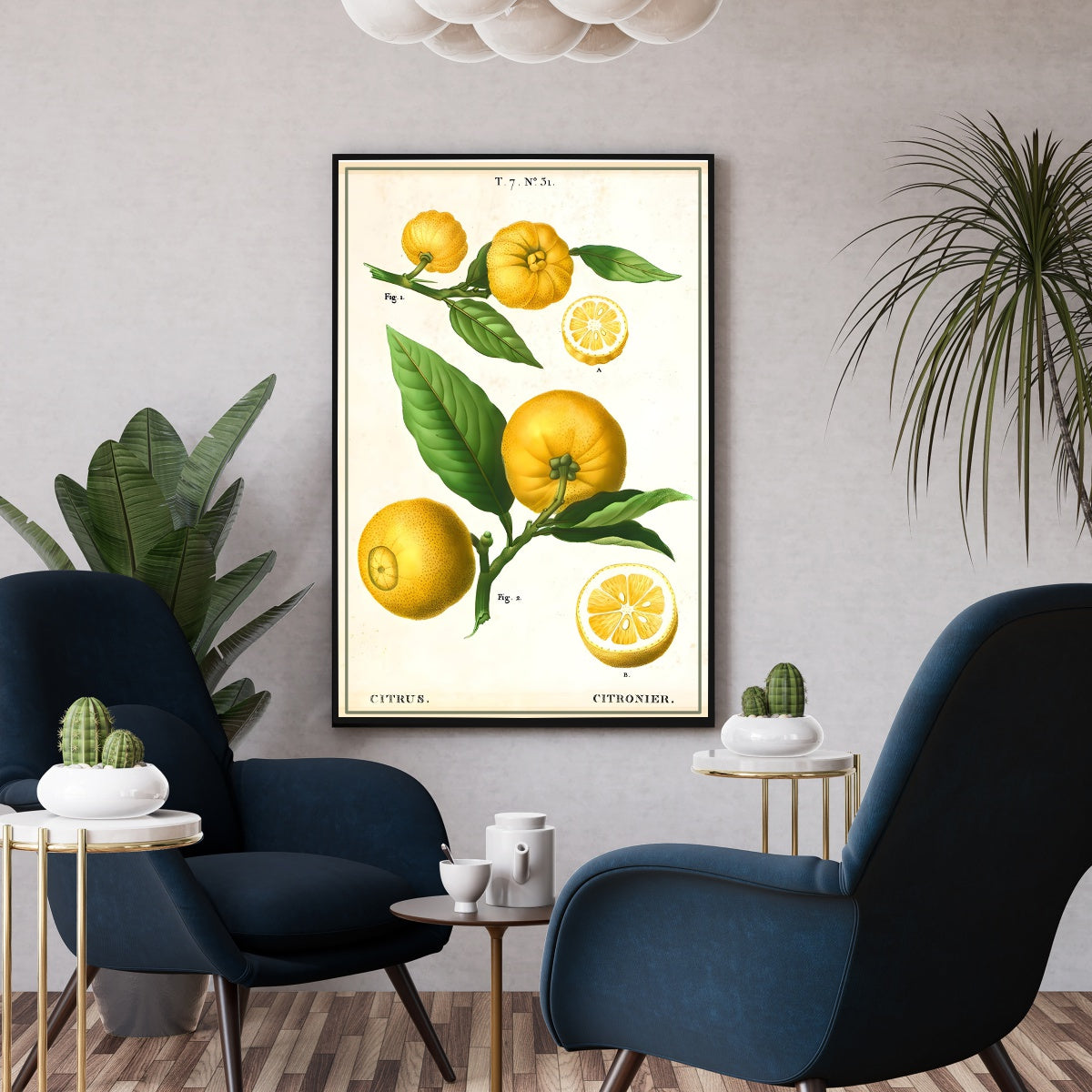Poster botanique vintage cuisine citronnier - Affiche cuisine citrus