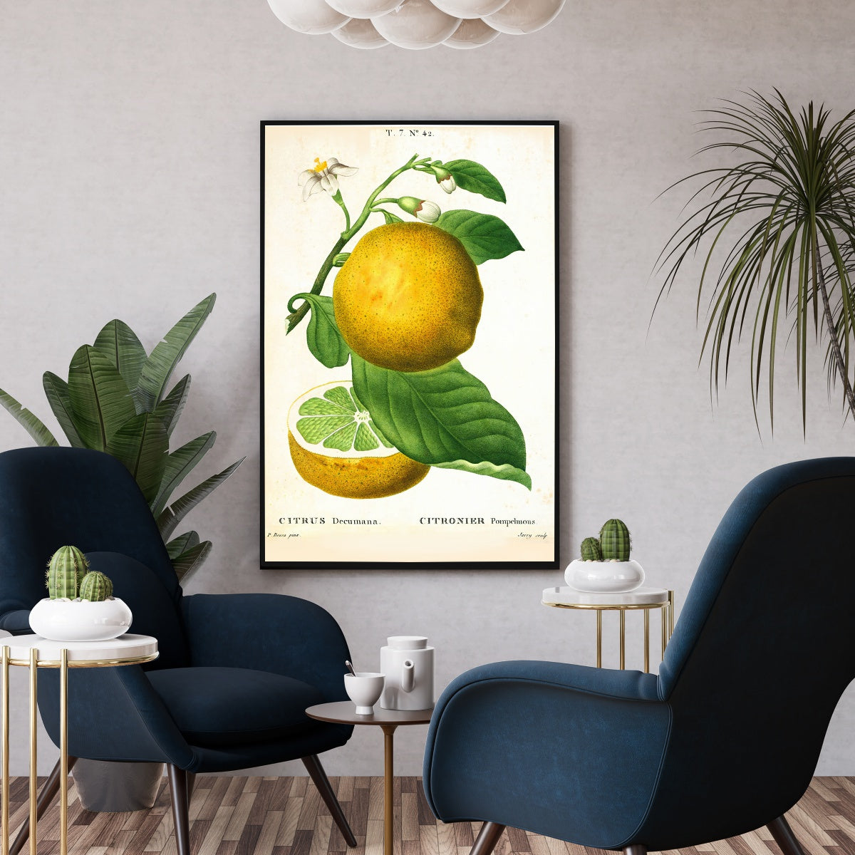 Affiche vintage citronnier pamplemousse - Poster botanique déco cuisine
