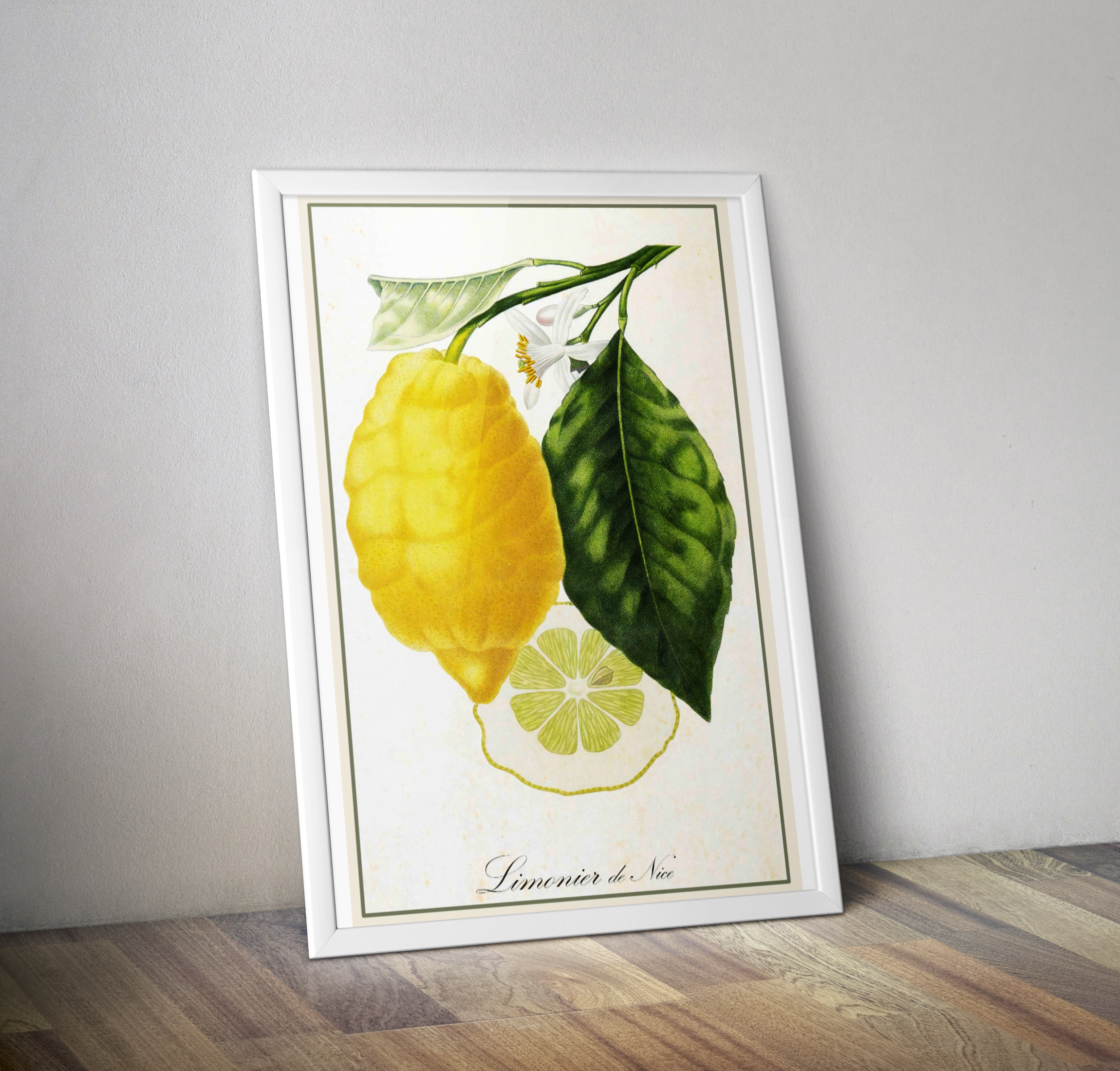 Affiche botanique cuisine citron de Nice - Poster vintage décoration cuisine