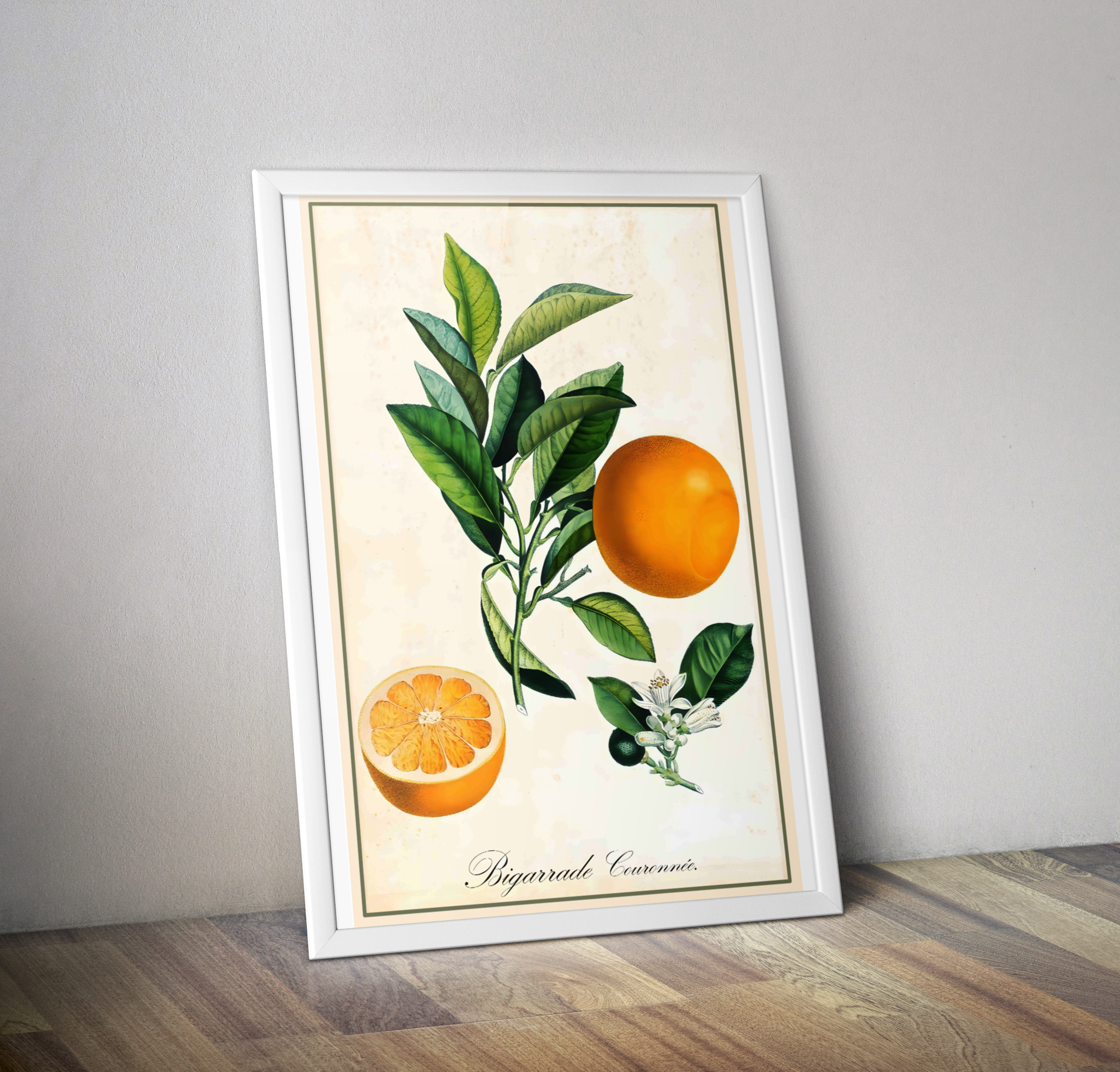 Affiche cuisine vintage Bigarade Couronnée - Poster cuisine fleur oranger