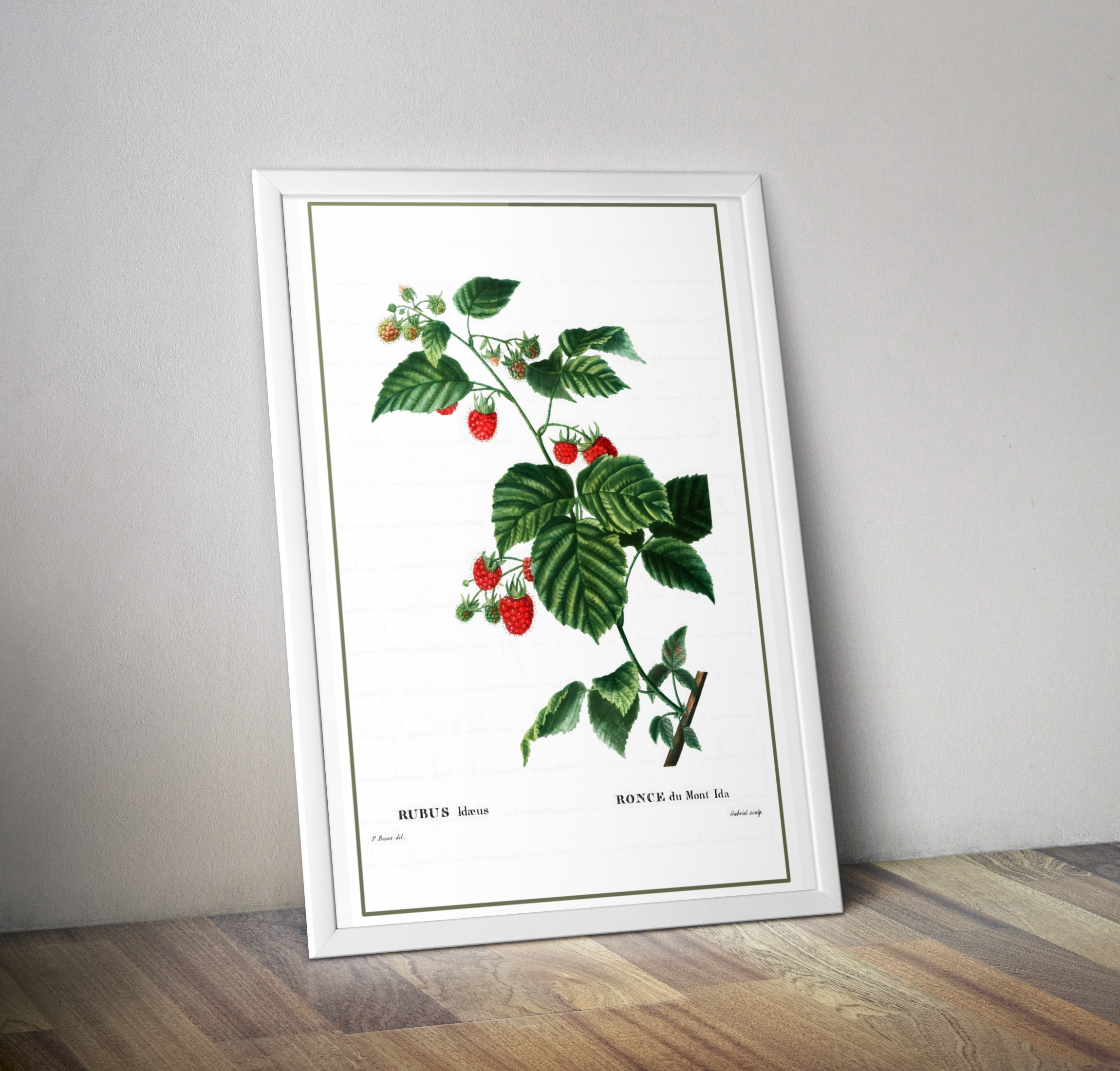 Affiche vintage cuisine framboisier - Poster décoration vintage