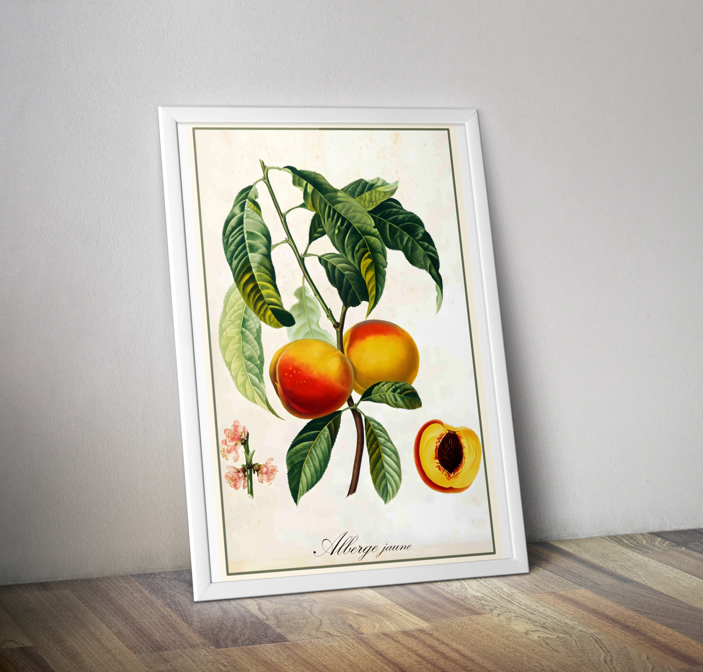 Affiche vintage pêche Alberge jaune - Poster vintage déco vintage