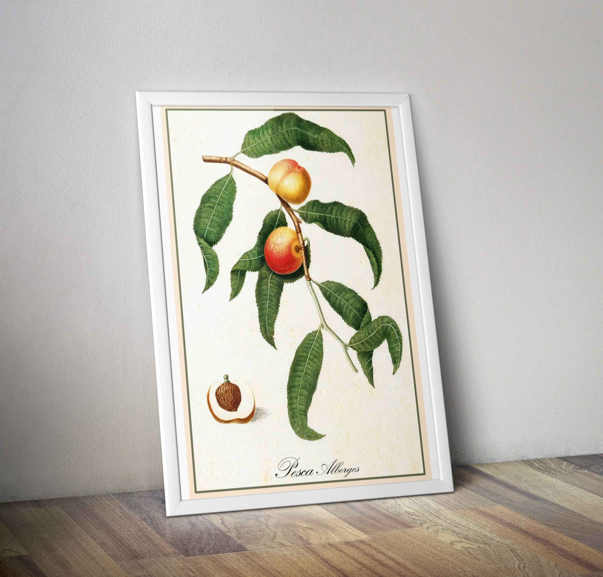 Poster vintage cuisine fruit pêche - Affiche vintage pesca alberges