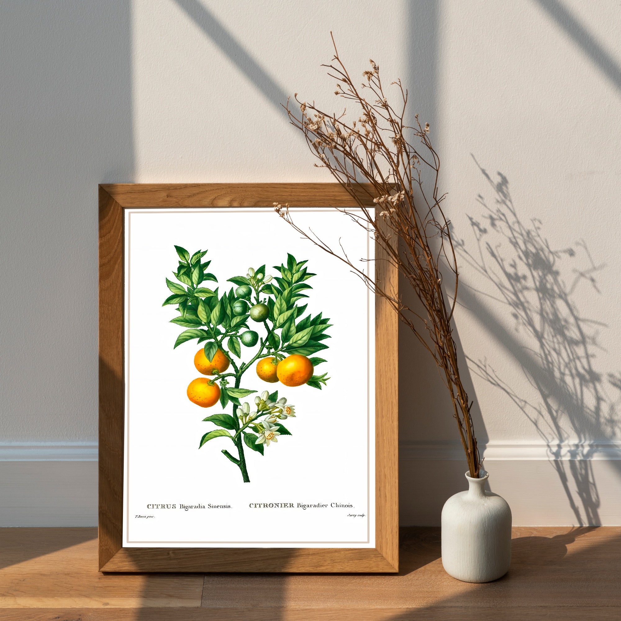 Affiche vintage fruit citronnier - Affiche vintage deco cuisine