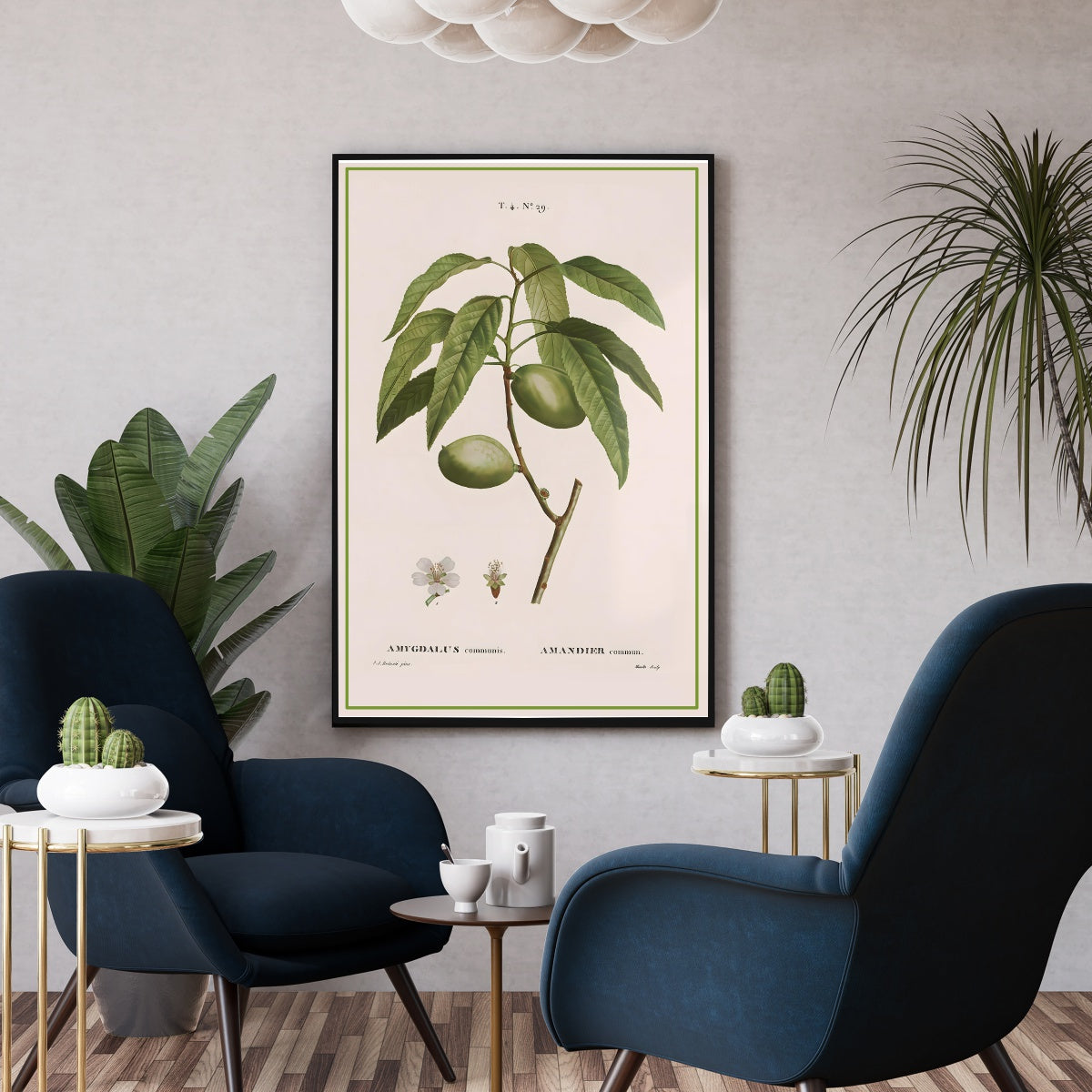 Affiche botanique vintage cuisine amandiers - Poster vintage fruit