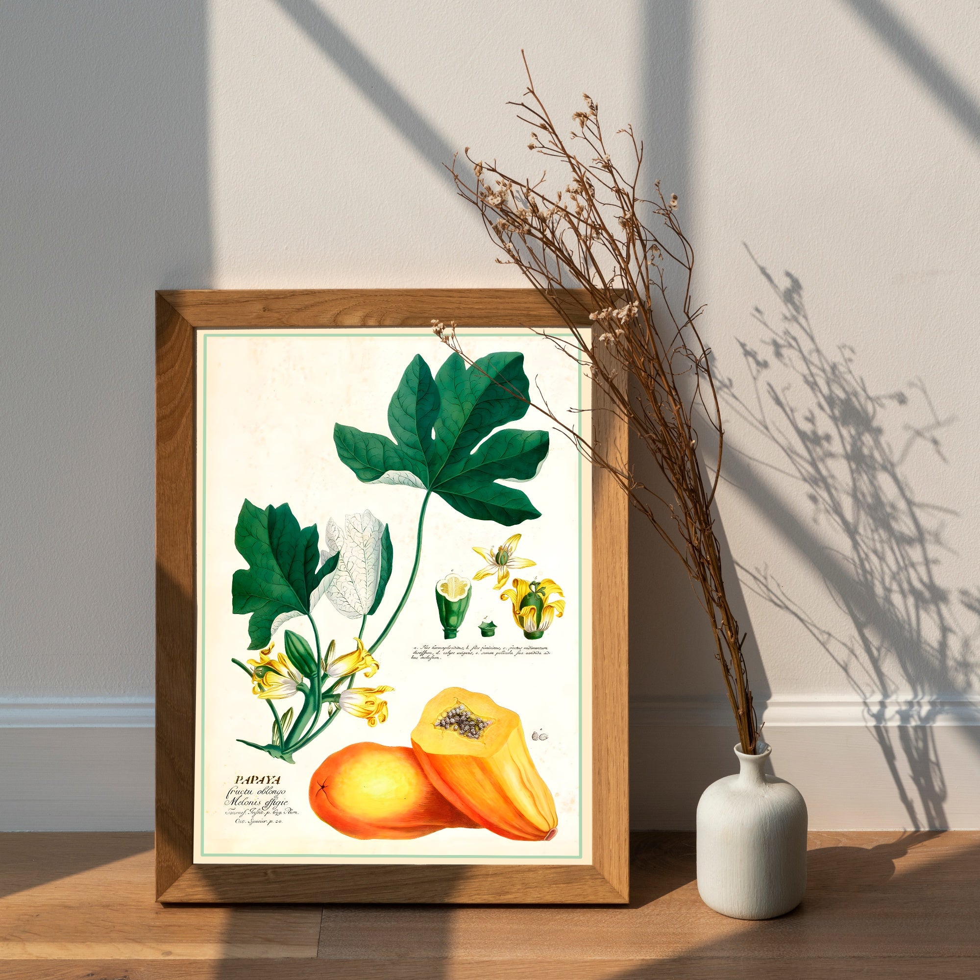 Affiche botanique vintage cuisine Papaye - Poster déco cuisine