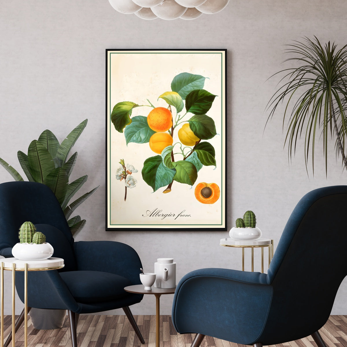 Affiche vintage cuisine Albertier Franc - Poster botanique vintage
