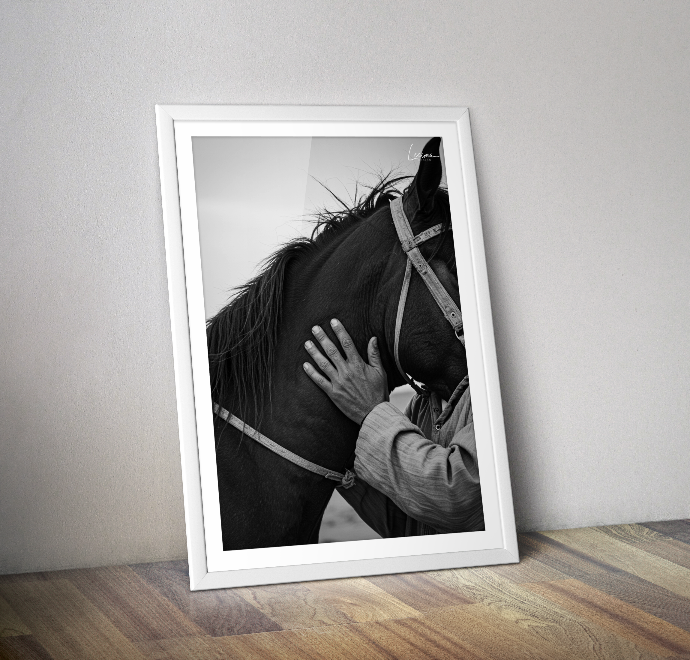 Affiche cheval arabe Maroc - Poster cavalier Maroc