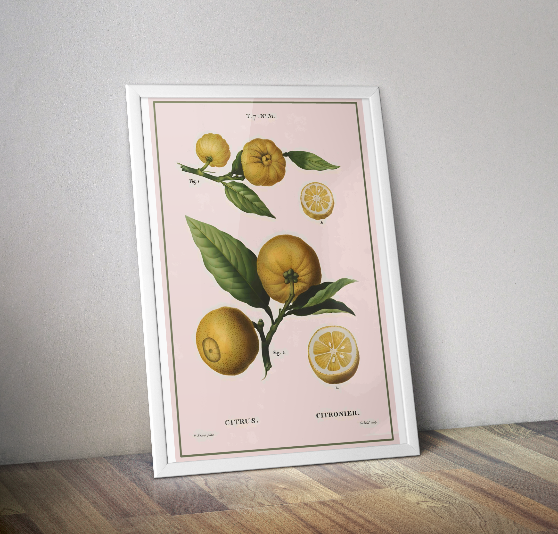 Affiche vintage déco cuisine fruit Citron - Poster botanique vintage