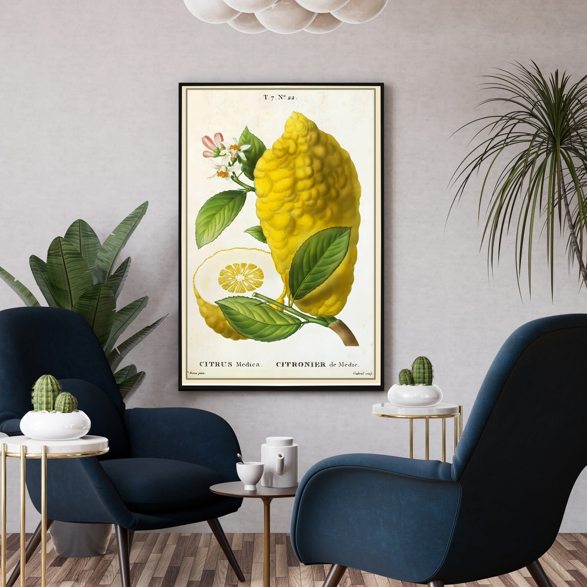 Affiche vintage citronnier de Médic - Poster botanique vintage cuisine