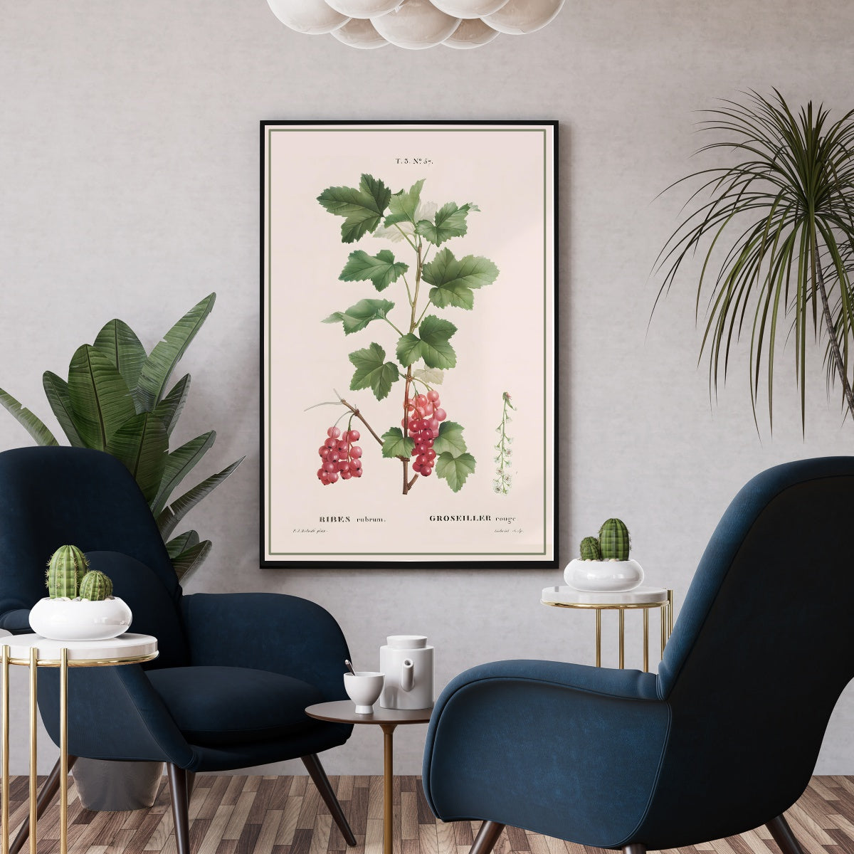 Affiche botanique cuisine Groseille décoration cuisine - Poster vintage cuisine