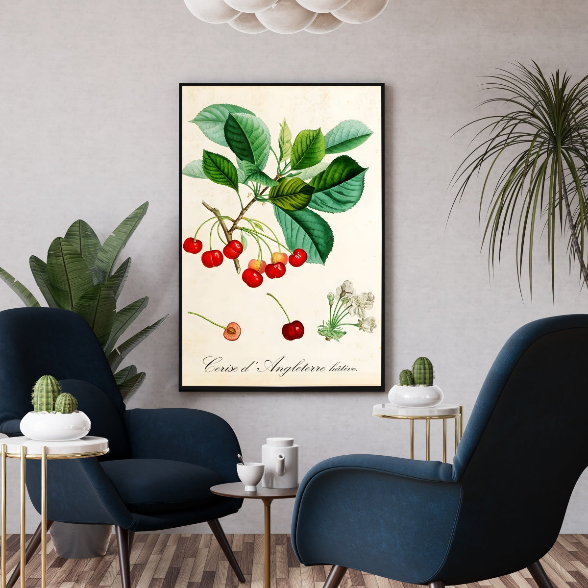 Affiche botanique vintage cuisine cerises d'Angleterre - Poster vintage cuisine