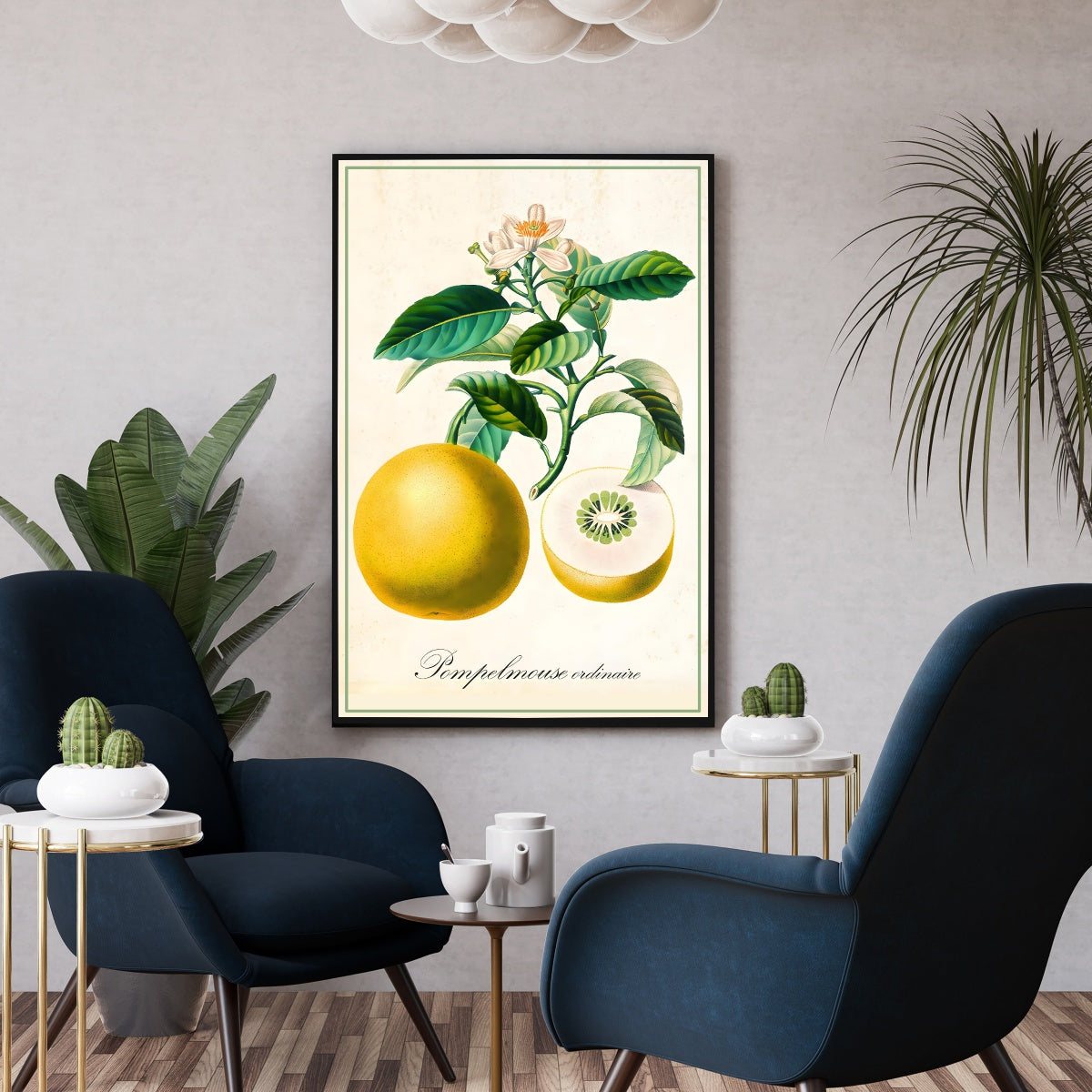 Affiche vintage décoration cuisine Pamplemousse - Poster vintage botanique