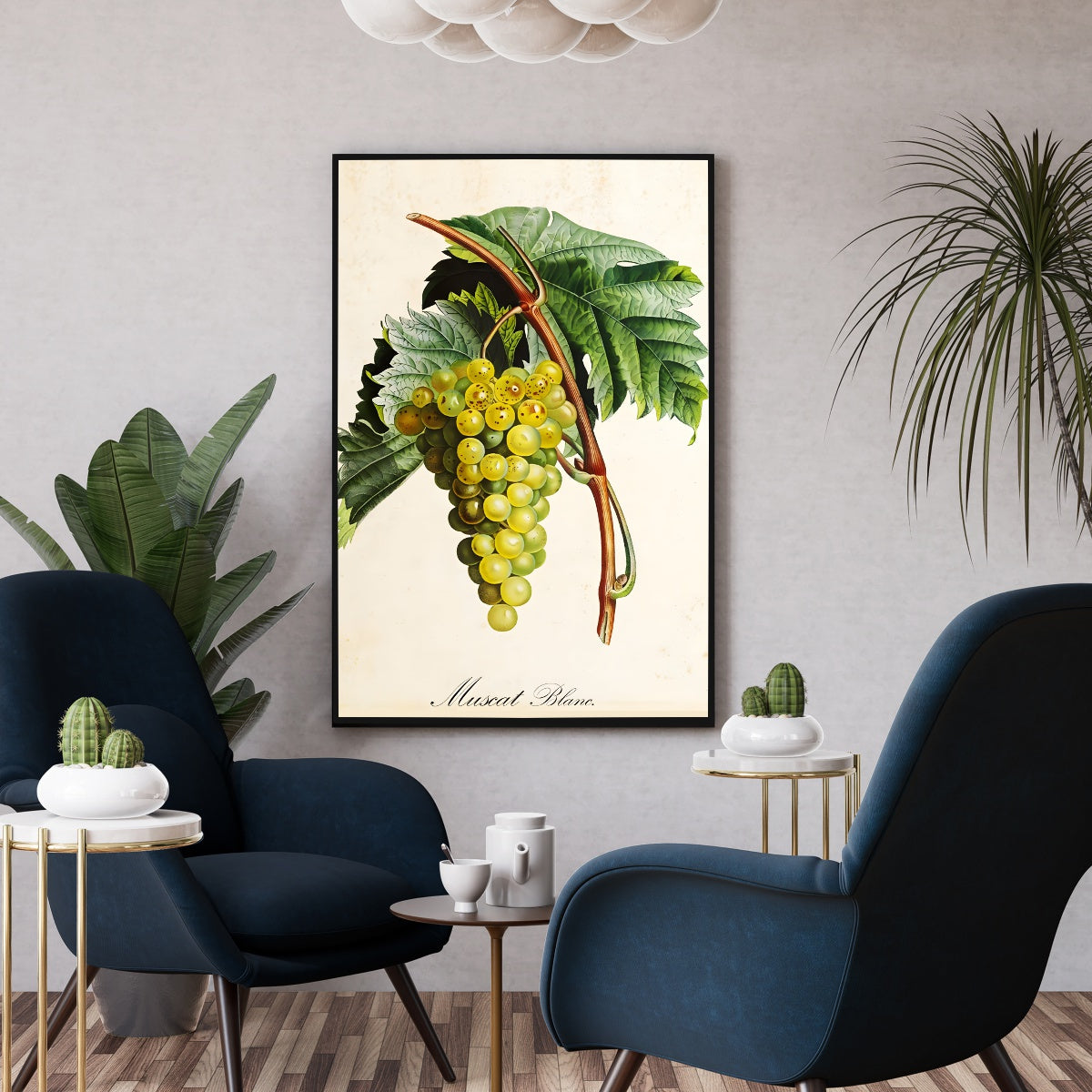 Affiche botanique cuisine raisin muscat blanc - Poster décoration vintage
