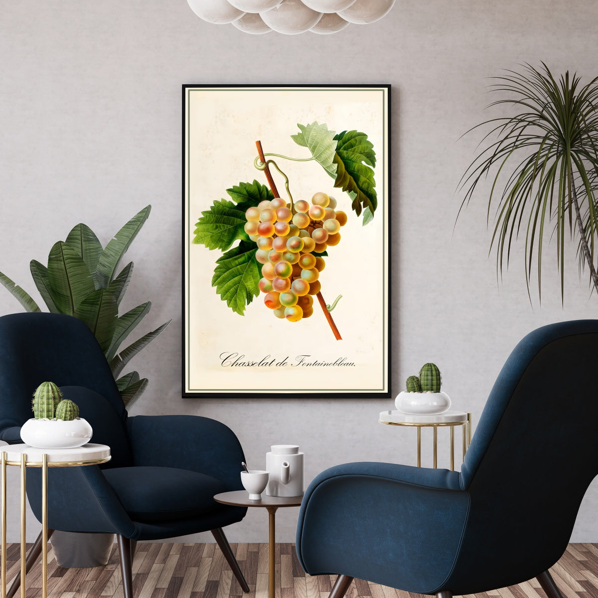 Affiche botanique vintage cuisine raisin - Poster décoration cuisine fruit raisin