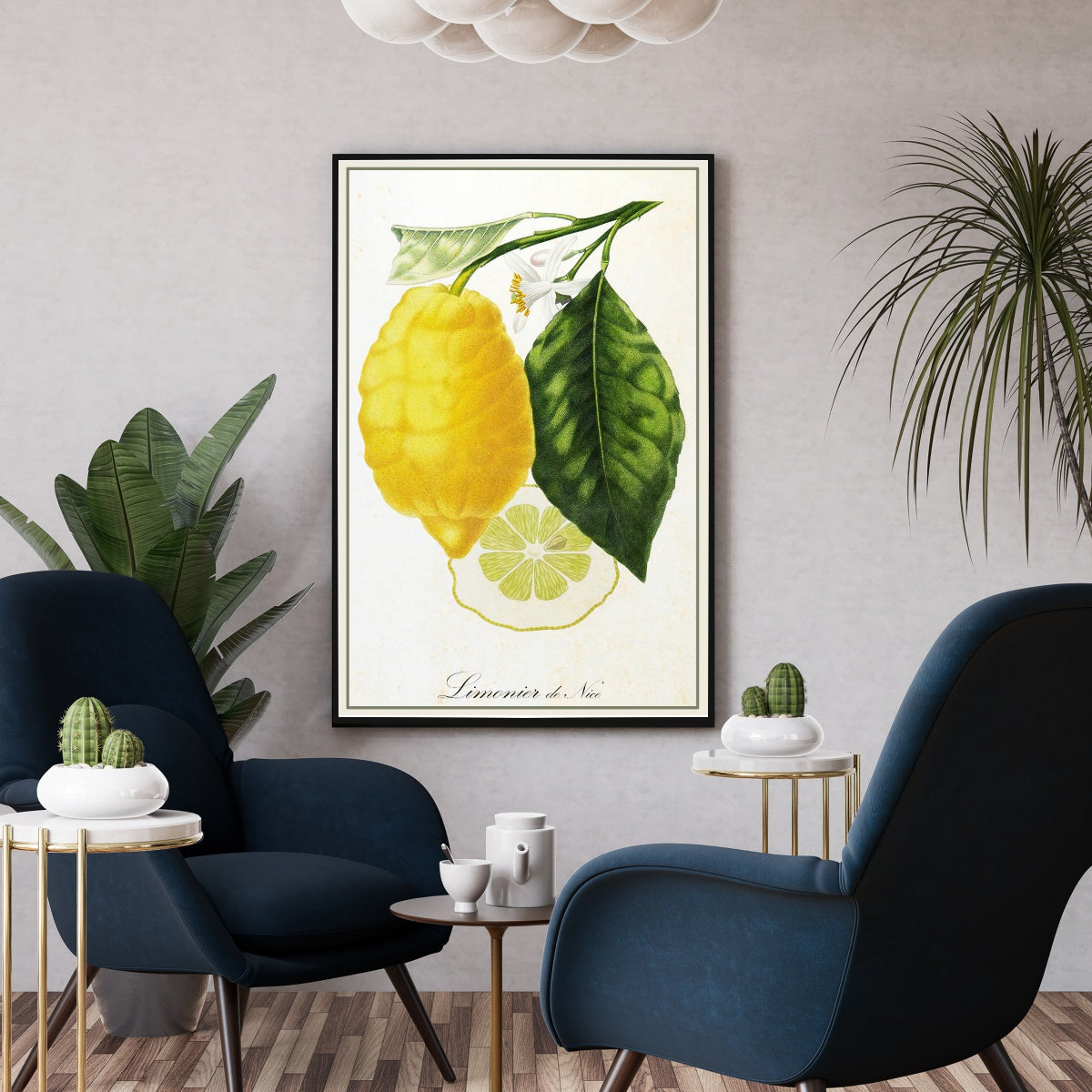 Affiche botanique cuisine citron de Nice - Poster vintage décoration cuisine