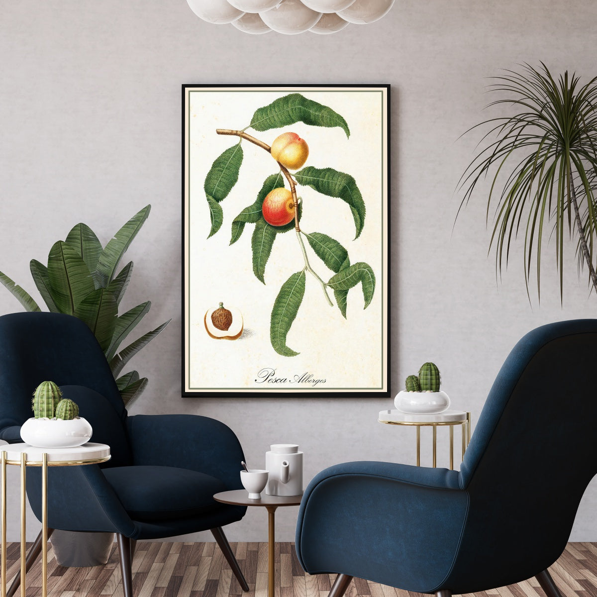 Poster vintage cuisine fruit pêche - Affiche vintage pesca alberges