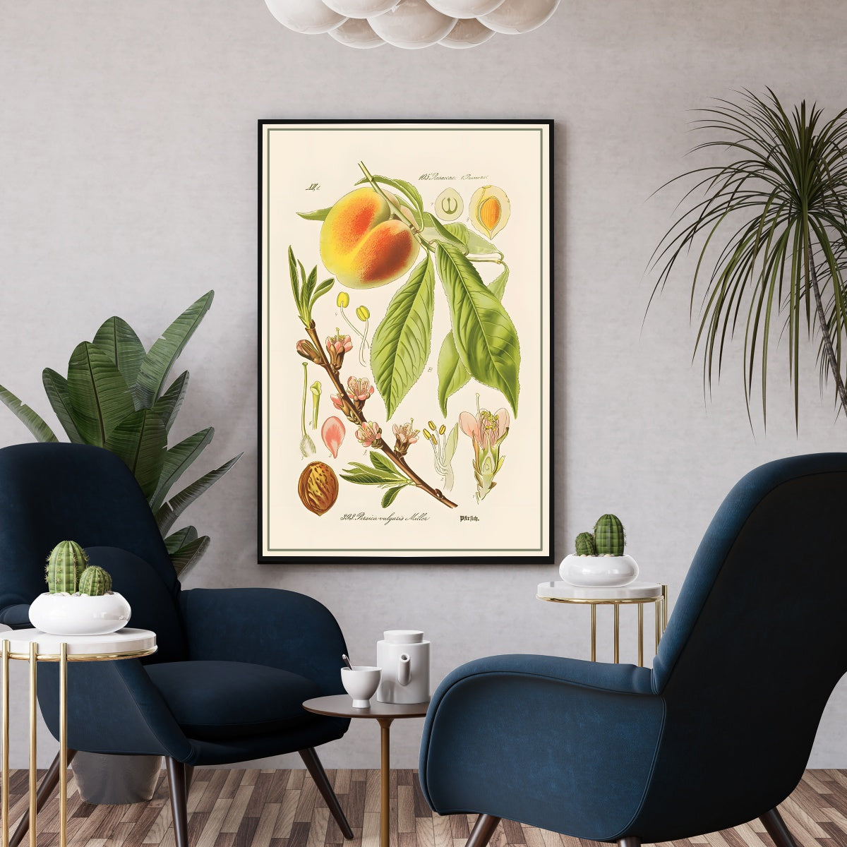 Affiche vintage fruit pêche - Poster botanique vintage fruit