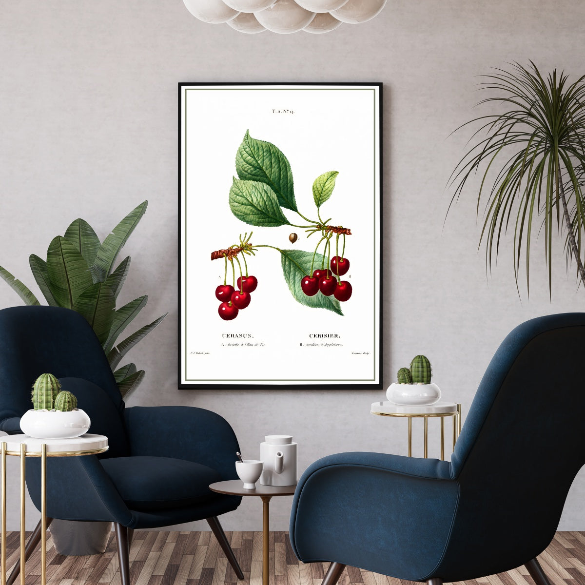 Poster botanique vintage cuisine cerises - Affiche rétro déco cuisine