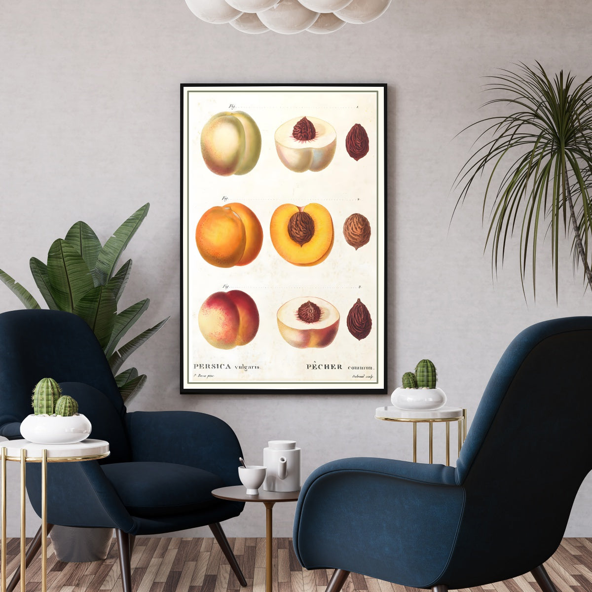 Affiche vintage cuisine fruit pêches - Poster rétro 3 pêches